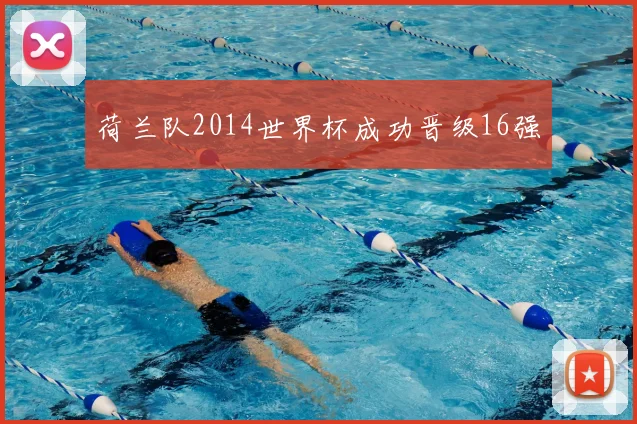 荷兰队2014世界杯成功晋级16强