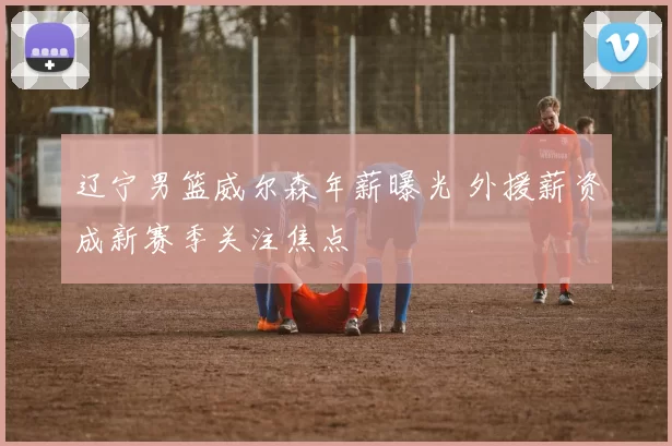 辽宁男篮威尔森年薪曝光 外援薪资成新赛季关注焦点