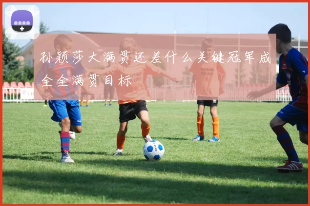 孙颖莎大满贯还差什么关键冠军成全全满贯目标